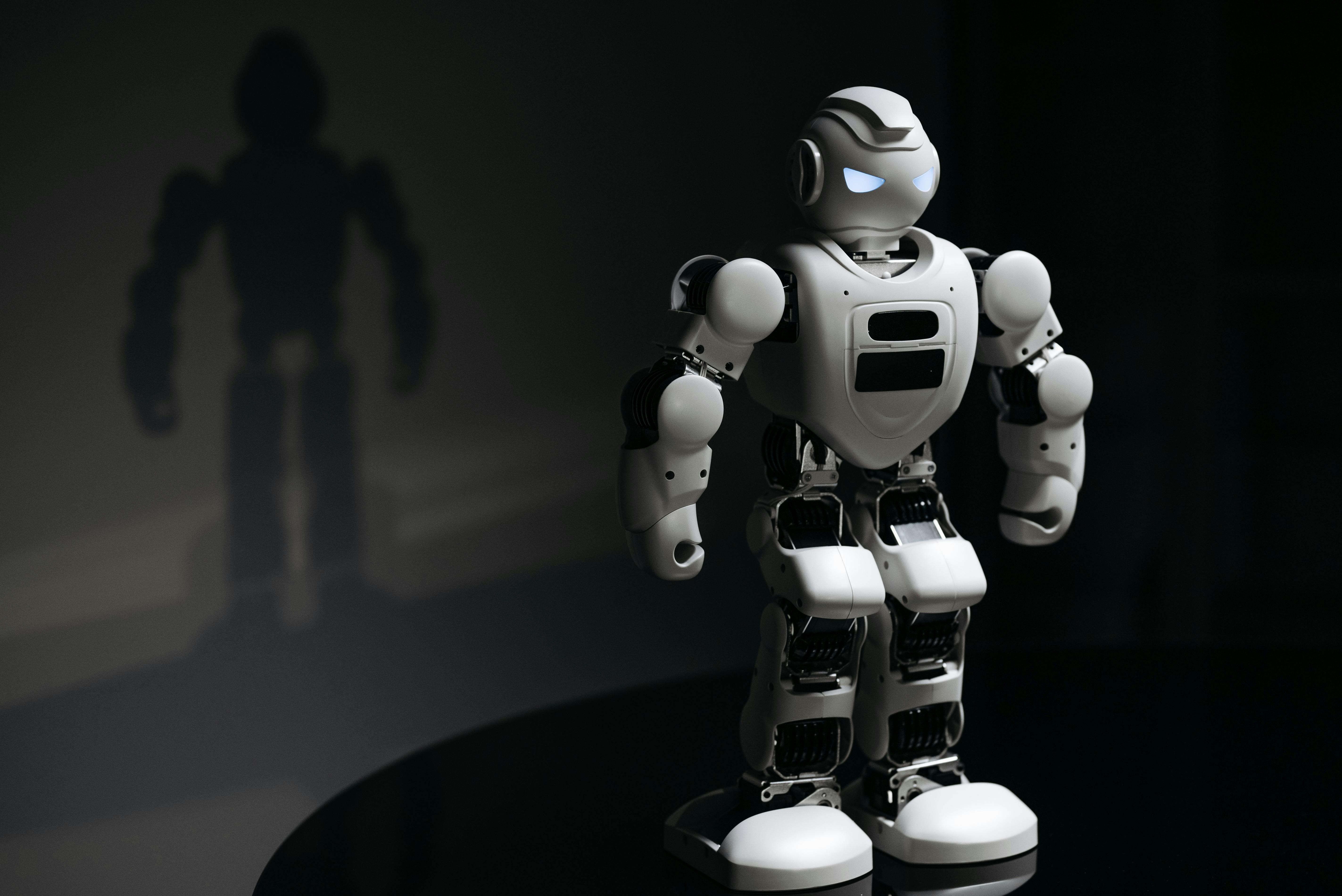 Humanoid robot